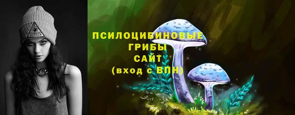 ECSTASY Покачи
